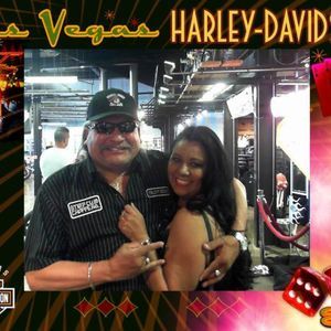 Meet your Posher, Margot